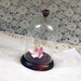 Vintage Glass Dome Display for Pocket Watch