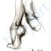 ballet slippers - ballet art - black pencil drawing - artwork print -20 x 30 - wall art