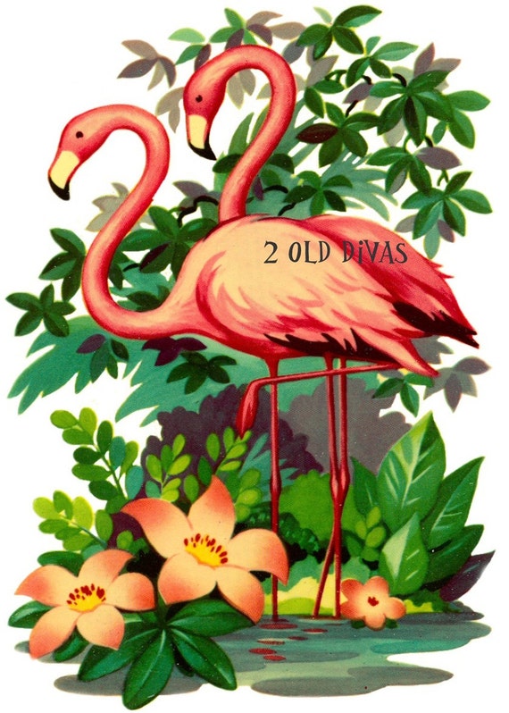 vintage flamingo clipart vintage flamingo clipart