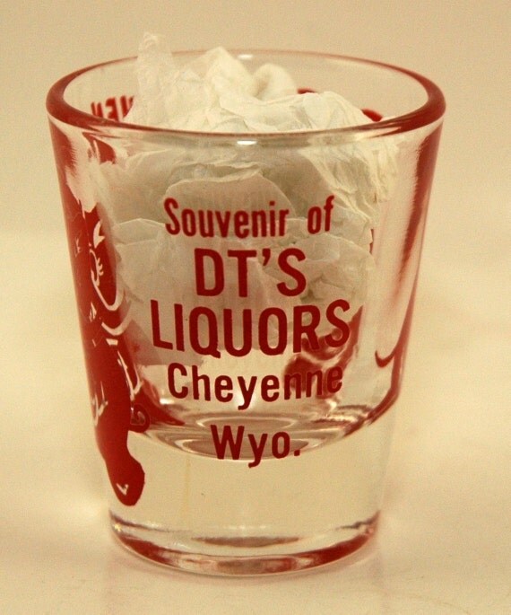 Set of Vintage Souvenir Whiskey Shot Glasses 1950's