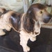 vintage Spaniel dog statue figurine, Hound, Hunting dog. Carnival Chalk, Man's Best Friend, great gift for a dog lover