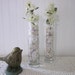 2 Bud Vases, clear glass cylinders. Classic Modern, Romantic, minimimalist decor. Spring and summer flowers, blooms.