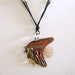 SALE - Lamp work, glass fish on strings