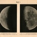 full moon antique print