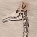 giraffe skeleton antique print from 1812