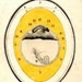 1852 egg anatomy original antique print no 1