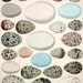 1843 eggs antique original print funky egg assortment plate no 7