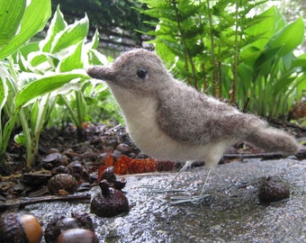Mr. Eastern Phoebe, needle felted bird