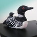 Mama Loon and baby, needle felted bird