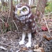 Mr. Burrowing Owl, needle felted bird