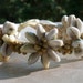 Braided Seashell and Ribbon Bracelet