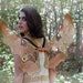Steampunk Fairy Wings