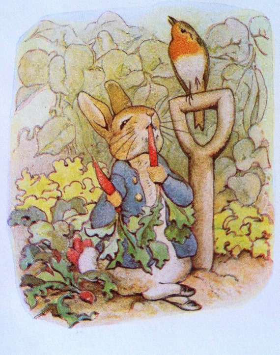 PETER RABBIT eats a CARROT Double-sided Color Print