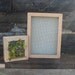 Special Order, Succulent Vertical Living Wall Art Kit, 12" by 18"