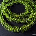 CLEARANCE - GORGEOUS Green Peridot Microfaceted Teardrop Briolettes, 6.5-7mm - Set of 15 - Reg. 11.95