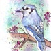 Bluejay - Original watercolor 8x10