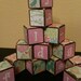 Bird and Butterfly Building Blocks