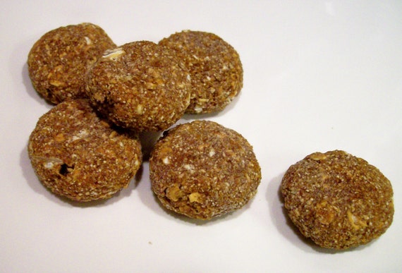 Apple Cinnamon Oatmeal Dog Cookies wheat-freeHomemade Dog