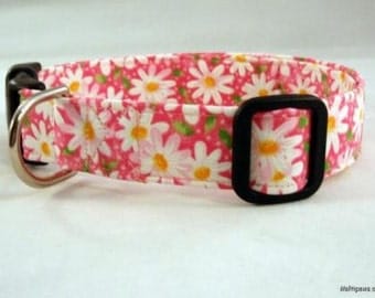 Awesome Bright Pink Daisy Spring Dog Collar