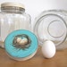 1 Gallon French Country Farmhouse Vintage Style Storage Jar Canister Cottage Chic Aqua Blue with Nest