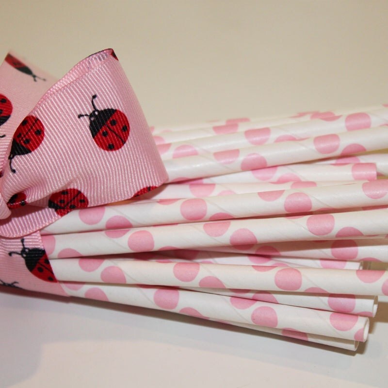 Mini Loaf Baking Pans Set of 12 Mini PINK STRIPE Baking