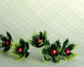 Holly Berry Cupcake Picks (12) Il_170x135