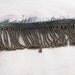 Antique French steel cut beaded fringe section gold metal beads steel and Teal