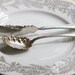 Silverware: Sugar Spoon and Butter Knife, Beaded, Mix and Match