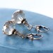 Handmade Crystal Earrings - Simplicity