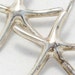 pre owned estate starfish beach / nautical sea theme 925 sterling silver earrings french wire
