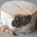 Birch Branch Rustic Table Number Holder Country Outdoor Natural Wedding Eco Friendly