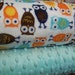 Cuddle Minky Fabric by Ann Kelle for Robert Kaufman paired with dimple dot tiffany, 1/2 Yard Bundle- 2 Total