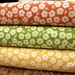 NEW Fly a Kite by October Afternoon and Riley Blake, Floral half Yard bundle, 2 total
