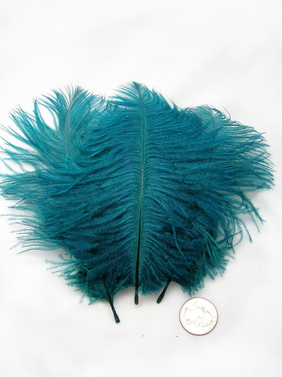 TEAL BLUE Ostrich Feather Drab 6-8 inches 3 package option