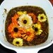 SALE 2oz Organic Calendula Salve