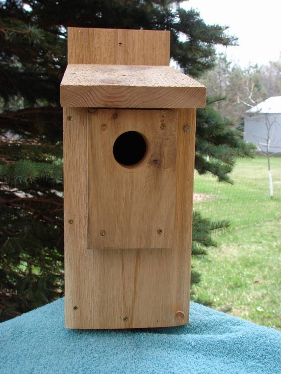 western cedar eastern bluebird nest box western cedar eastern bluebird nest box