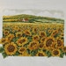New Finished Completed Cross Stitch - Sunflowers -
