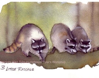 Raccoon Art, Raccoons Watercolor Painting Illustration Print 'Three Little Rascals'