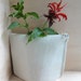 Porcelain Bud Vase in Celadon, Hand built from Slabs- Large