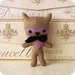 Tag-Along Raccoon pdf Pattern