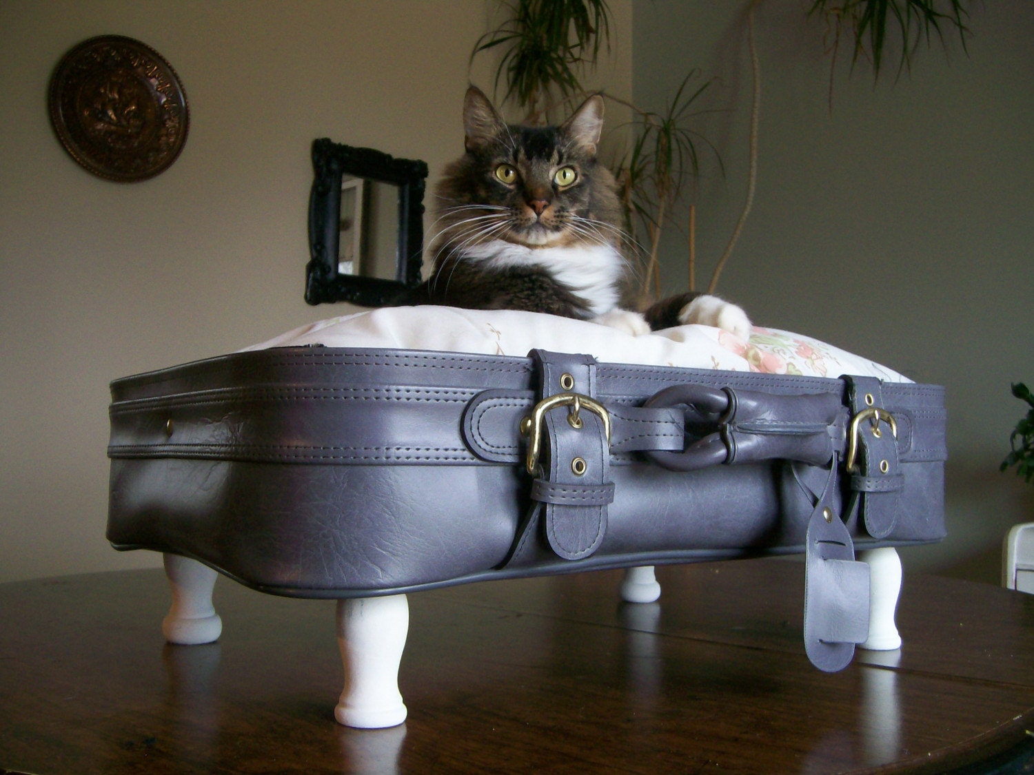 Vintage Repurposed Upcycled Suitcase Pet Bed Gray White