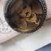 Edgar Allan Poe Pocket Watch Case Locket Necklace FREE SHIPPING