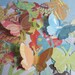 Contemporains Paper Butterfly Pack