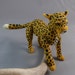 Tel the Leopard