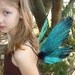 Rainforest Beatle Faery CUSTOM Costume Wings