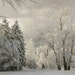 Holiday Sale Winter 8x12 Fine Art Photograph
