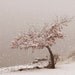 Fine Art Photography Snowflake Art Winter Art Snow Fall First Snow at the Lake 8x10 Fine Art Photograph