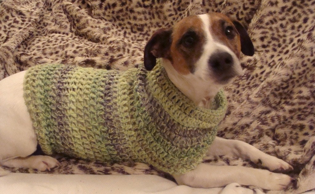 Crochet Pattern for Small Dog Coat Small Dog by CrotchetyCraft