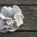 White flower felted brooch pin ---gift under 30 USD - Ready to Ship now