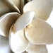 Magnolia from the Harvest series. Hand made, earthenware, sculpture, wall hanging, natural, neutral.